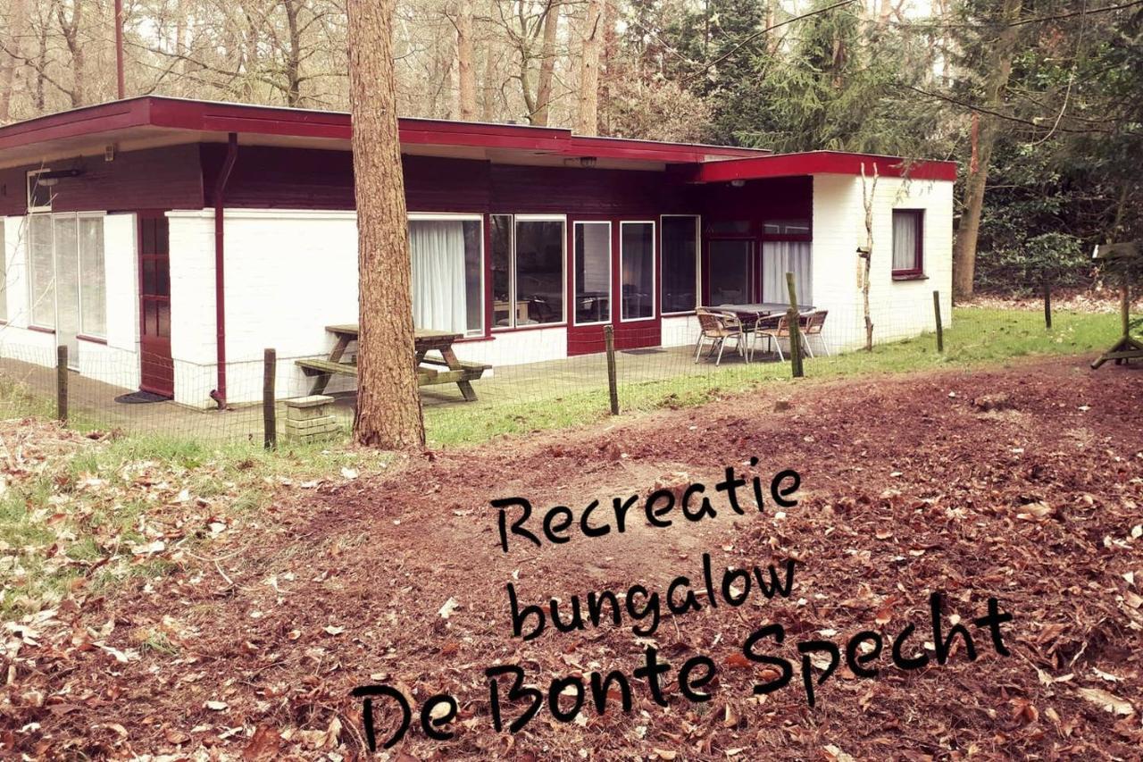 Bonte Specht Villa Otterlo Eksteriør billede